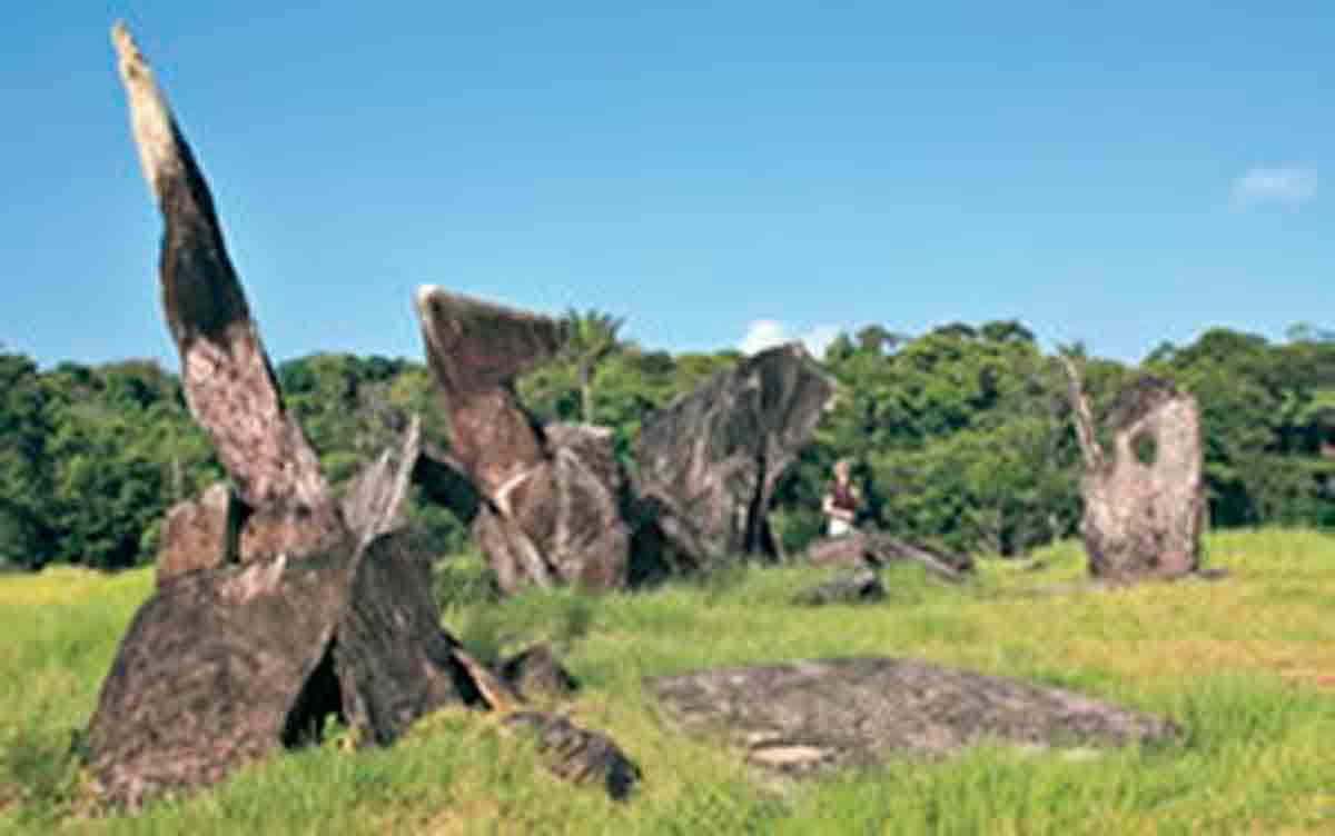 Stonehenge amazônica