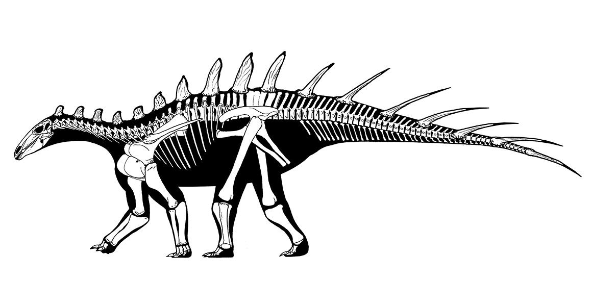 Estegossauro dinossauro antigo herbívoro dinossauro animal extinto