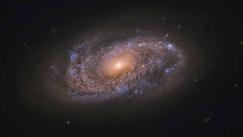 Galáxia NGC 2906: alvo da busca do Hubble por supernovas. Crédito: ESA/Hubble & Nasa, A. Filippenko