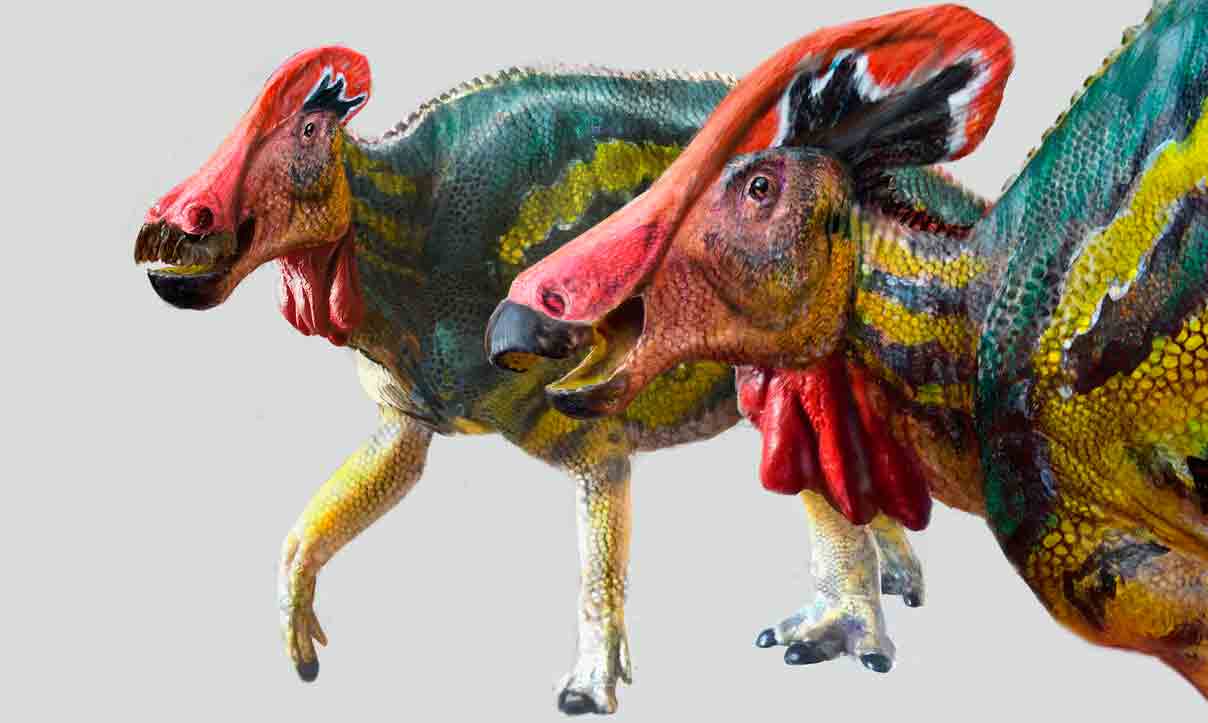Concepção artística do Tlatolophus galorum. Crédito: Luis V. Rey/Cretaceous Research (2021). DOI: 10.1016/j.cretres.2021.104884