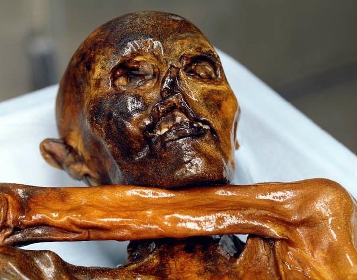 Múmia de 5.300 anos revela como a tatuagem já foi usada em rituais de cura