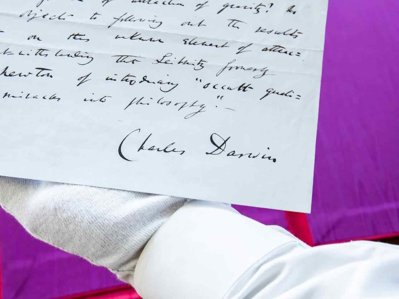 Manuscrito de Charles Darwin vai a leilão e pode render quase R$ 5 milhões