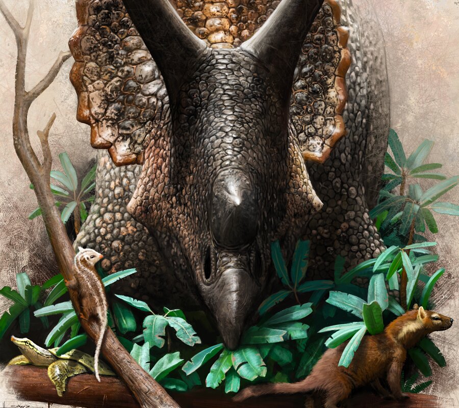 Dinossauros Tem Ouvido? #fauna #biologia #biologiadivertida