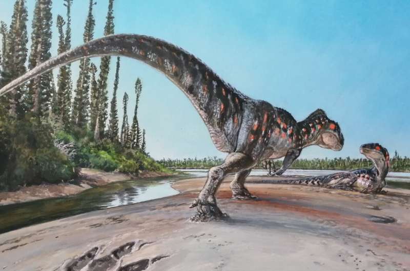 Menor dinossauro já encontrado é, na verdade, um outro animal