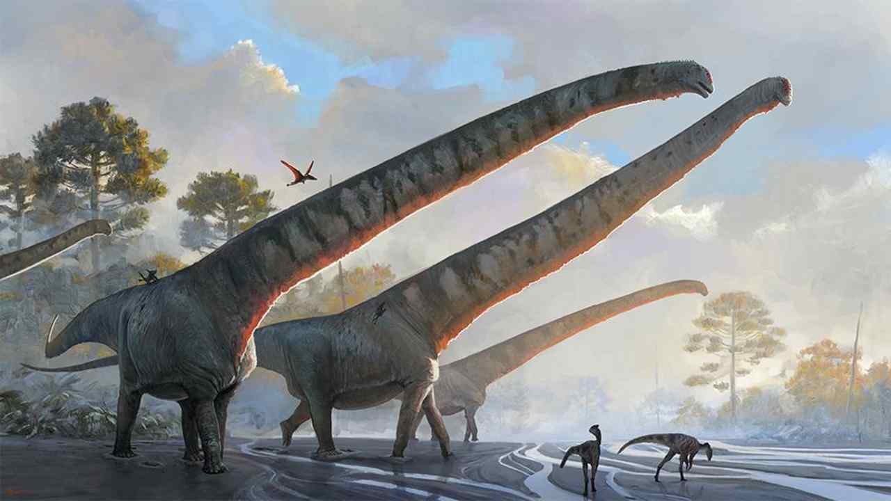 Conheça o dinossauro que tinha pescoço seis vezes maior que o das girafas
