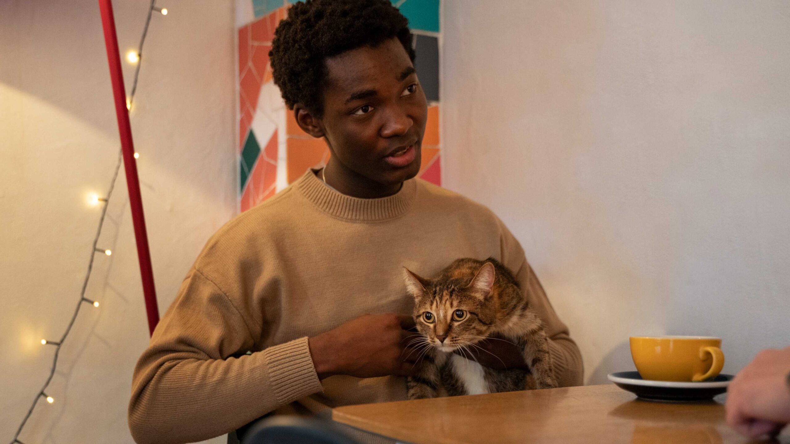 Homem com gato no colo
