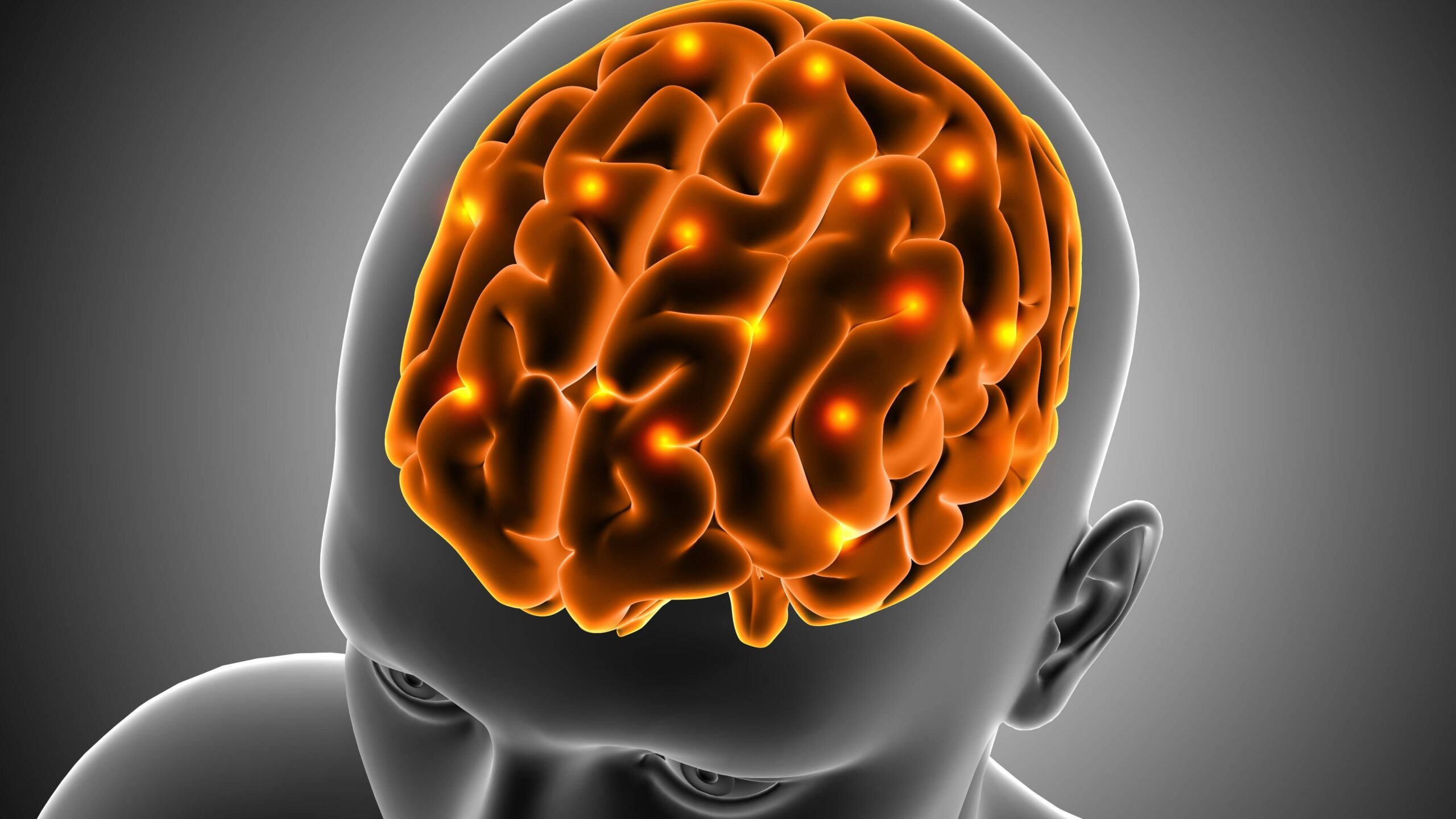 Cérebro memória lembranças