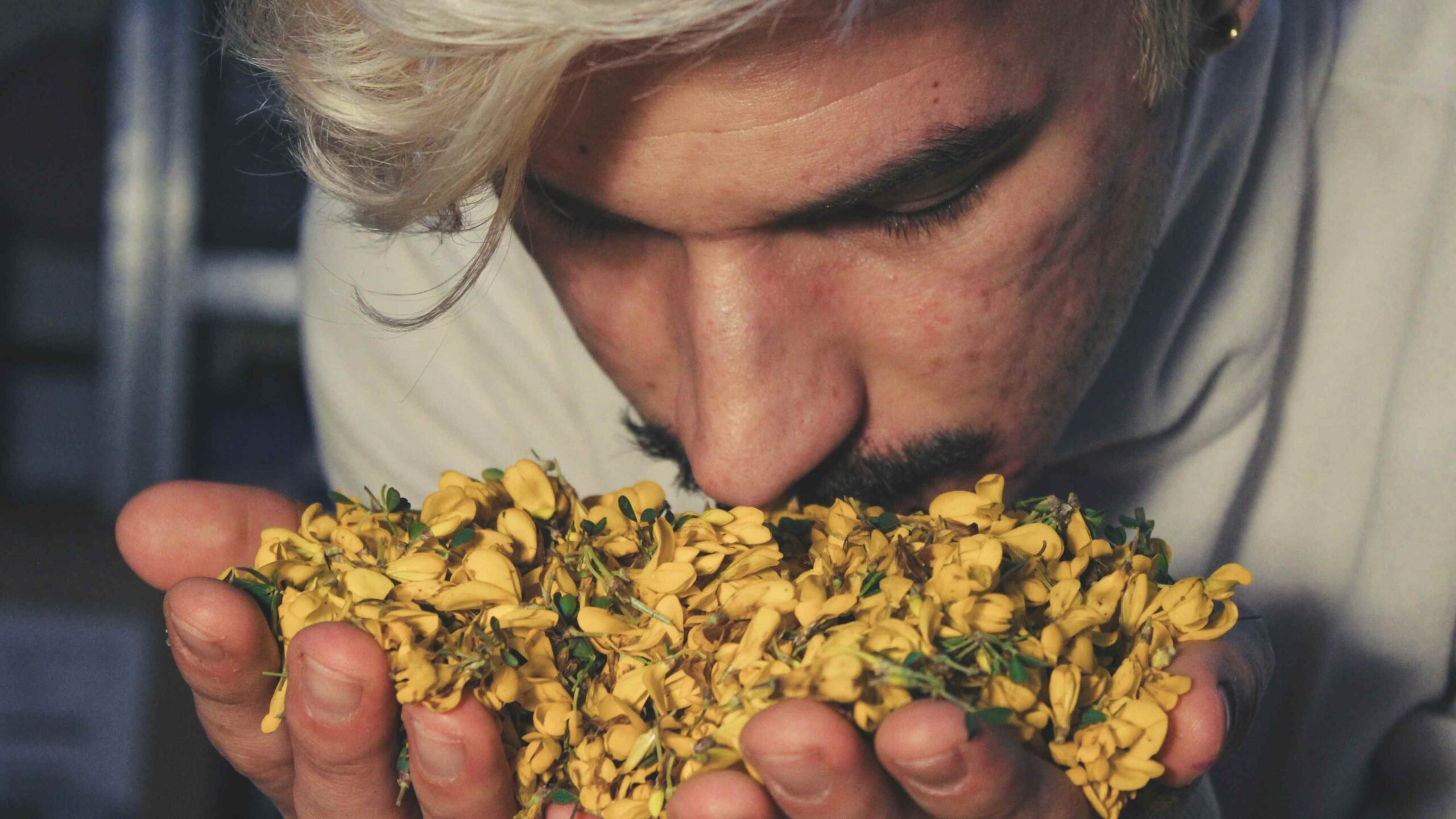 Produtor de perfume seleciona matéria-prima