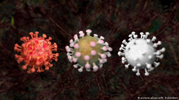 Entenda a diferença entre endemia, epidemia e pandemia
