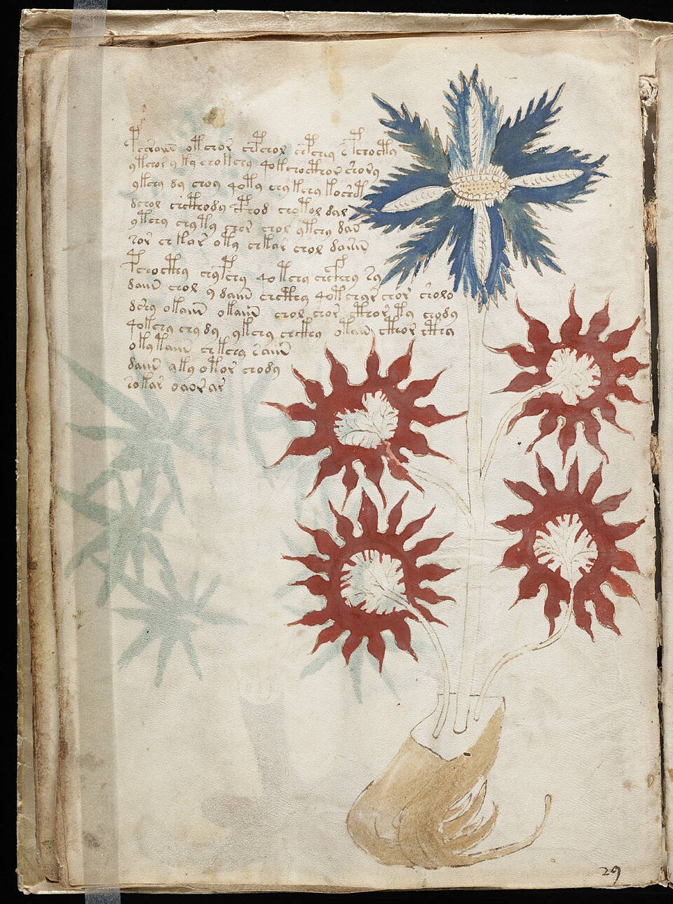 Enigma do Manuscrito Voynich