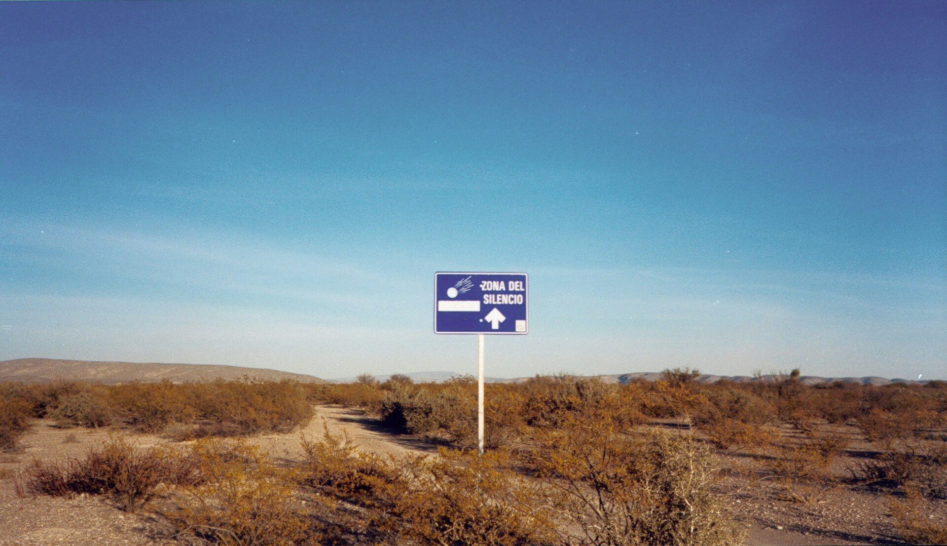 Paisagem desértica e árida da Zona do Silêncio em Mapimí, México, com vegetação rasteira, cactos e formações rochosas sob um céu ensolarado.