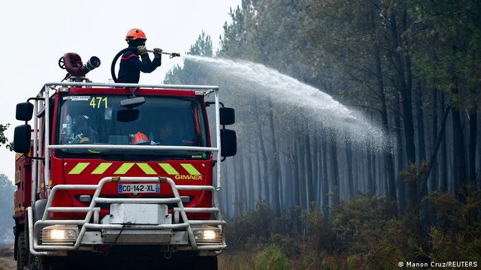 Florestas de monocultura agravam incêndios na Europa