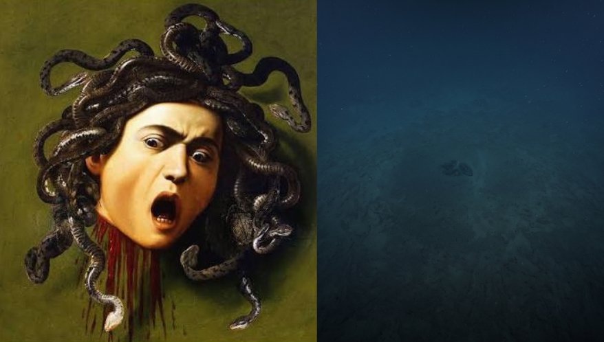 Medusa da Mitologia Foi Encontrada no Fundo do Oceano? Entenda a Ciência por Trás do Mito